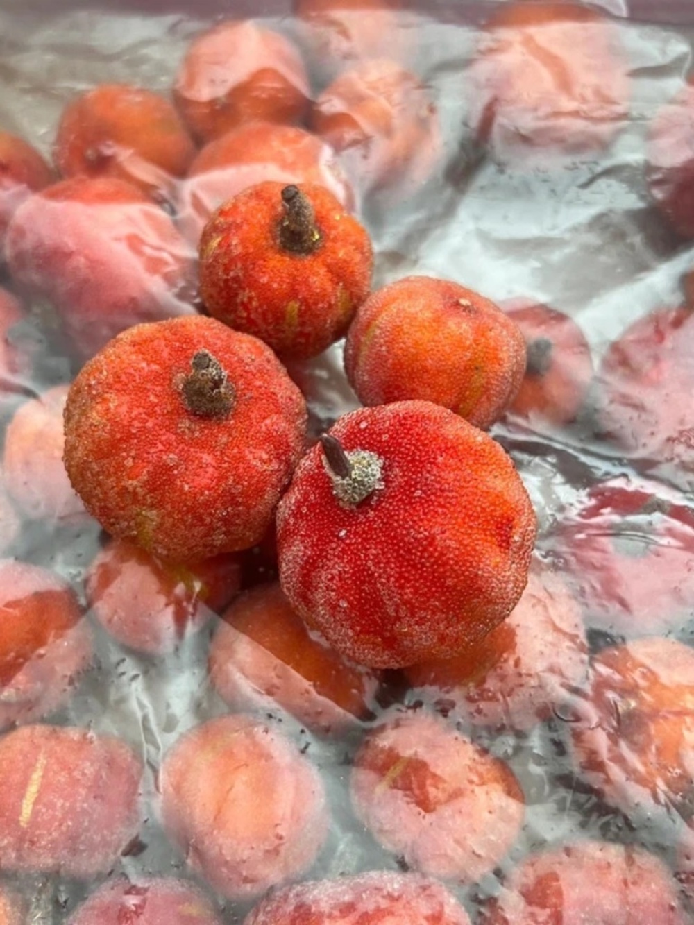 Lot of 40 mini orange decorative pumpkins with crystal like covering